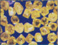 Lapping Machines, Polishing  Machines, Optical Flat, Polish flat, Checklite, Check Flat, Straight Edge & Filler Gauges, Lapping consumables, Polishing consumables, Cerium Oxide, Cerium Pads, Cerium Pads Valve Grinding Paste, Lapping Paste, Lap Plates, Moistening Spray, Diamond Pastes, Polishing Compounds, Speedfam, Speedfam India, lapping & polishing machines.